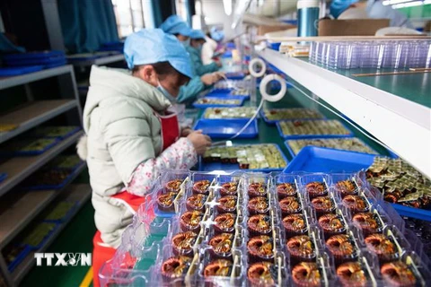 Công nhân lắp ráp linh kiện điện tử tại một nhà máy ở huyện Đào Viên, tỉnh Hồ Nam, Trung Quốc ngày 20/2. (Nguồn: THX/TTXVN) 
