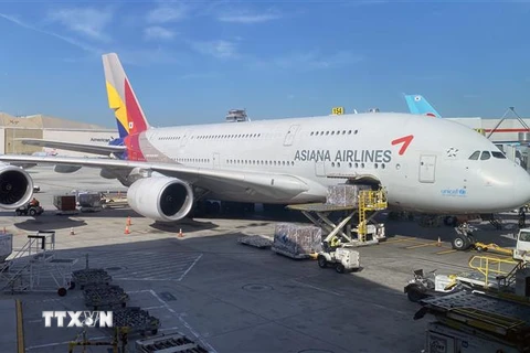 Máy bay của hãng hàng không Asiana Airlines tại sân bay quốc tế Los Angeles, California, Mỹ, ngày 12/2/2020. (Nguồn: AFP/TTXVN) 