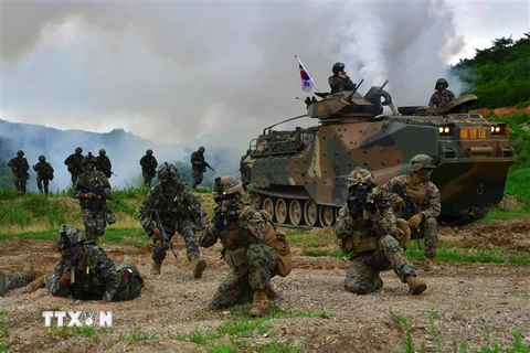 Binh sỹ Hàn Quốc và Mỹ tham gia cuộc tập trận chung tại Pohang, Hàn Quốc, ngày 6/7/2016. (Nguồn: AFP/TTXVN) 