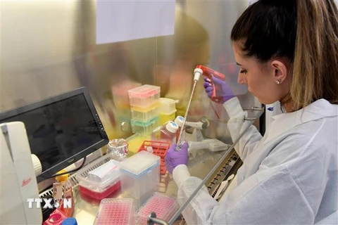 Một nhà khoa học nghiên cứu kháng thể chống virus gây dịch COVID-19 tại phòng thí nghiệm Viện nghiên cứu y học Rega ở Leuven, Bỉ ngày 28/2/2020. (Nguồn: AFP/TTXVN) 