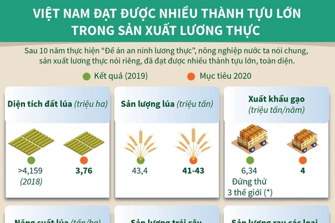 [Infographics] Việt Nam đạt nhiều thành tựu trong sản xuất lương thực