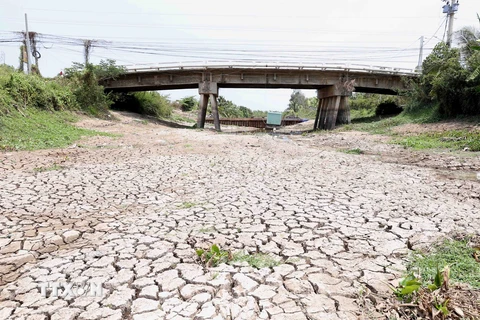 Hình ảnh kênh mương nứt nẻ, cây trồng khô héo ở Tiền Giang