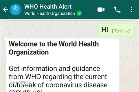 Ứng dụng WhatsApp WHO Health Alert truy vấn thông tin chính thức về COVID-19 qua tổng đài +41798931892 do WHO quản lý. (Ảnh: Đình Lượng/TTXVN) 