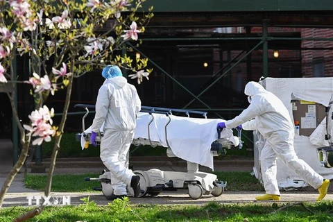 Nhân viên y tế chuyển thi thể bệnh nhân tử vong do COVID-19 tới nhà xác dã chiến ở New York, Mỹ, ngày 8/4/2020. (Nguồn: AFP/TTXVN) 