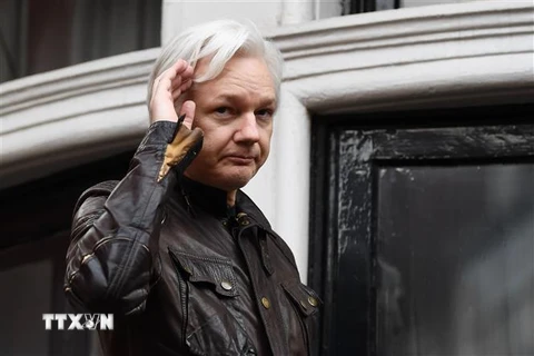 Nhà sáng lập trang mạng WikiLeaks Julian Assange tại Đại sứ quán Ecuador ở London, Anh, ngày 19/5/2017. (Nguồn: AFP/TTXVN) 