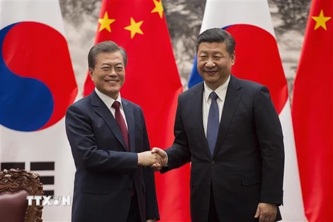 Chủ tịch Trung Quốc Tập Cận Bình (phải) và Tổng thống Hàn Quốc Moon Jae-in trong cuộc gặp tại Bắc Kinh ngày 14/12/2017. (Nguồn: AFP/TTXVN) 