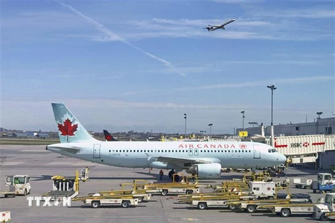 Máy bay của hãng hàng không Air Canada. (Nguồn: AFP/TTXVN) 