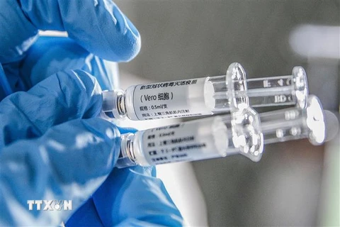 Các mẫu vắcxin phòng COVID-19 của hãng dược phẩm Sinovac ở Bắc Kinh, Trung Quốc, ngày 16/3/2020. (Nguồn: THX/TTXVN) 