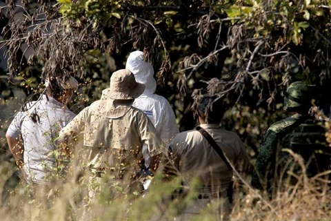 Các binh sỹ, nhân viên pháp y và công tố viên làm việc trong khu vực phát hiện ra một ngôi mộ tập thể bí mật tại Mexico. (Nguồn: AFP) 