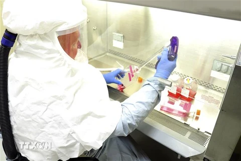 Nghiên cứu mẫu bệnh phẩm COVID-19 để phát triển vaccine phòng dịch tại phòng thí nghiệm của Viện nghiên cứu bệnh truyền nhiễm quân đội Mỹ ngày 8/3/2020. (Nguồn: TTXVN) 