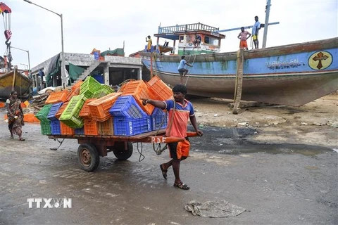 Ngư dân neo đậu tàu thuyền tránh bão tại làng chài Madh, Mumbai, Ấn Độ, ngày 2/6/2020. (Nguồn: AFP/TTXVN) 