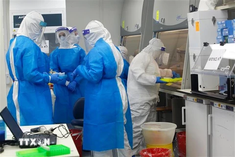 Nhân viên y tế tiến hành xét nghiệm các mẫu bệnh phẩm COVID-19 tại một phòng thí nghiệm ở Tel Aviv, Israel ngày 19/4/2020. (Nguồn: THX/TTXVN) 