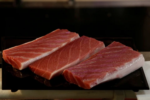 Thịt từ một con cá ngừ vây xanh nặng 278kg. (Nguồn: Reuters) 