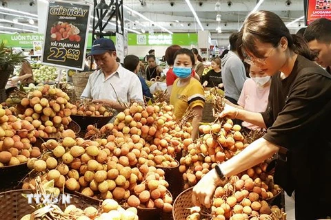 Tuần hàng nông sản trái cây các vùng miền được tổ chức tại quận Hà Đông. (Ảnh: Đỗ Phương Anh/TTXVN) 