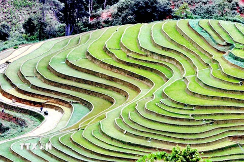 [Photo] Ruộng bậc thang - bức tranh nghệ thuật nơi vùng núi Sơn La