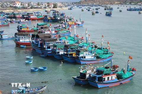 Tàu cá của ngư dân neo đậu tại Đầm Nại (huyện Ninh Hải, Ninh Thuận). (Ảnh: Nguyễn Thành/TTXVN) 