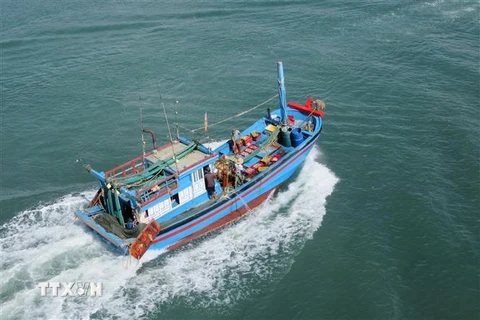 Tàu khai thác hải sản của ngư dân. (Ảnh: Nguyễn Thành/TTXVN) 
