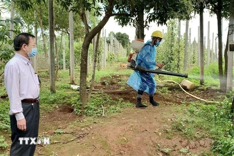 Ngành y tế tỉnh Gia Lai thực hiện phun khử khuẩn môi trường tại làng Bông Hiot, xã Hải Yang, huyện Đak Đoa - nơi có ca bệnh bạch hầu tử vong. (Nguồn: TTXVN) 