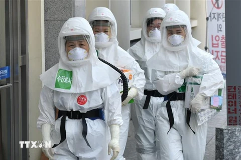 Nhân viên y tế làm việc tại khu điều trị cho bệnh nhân nhiễm COVID-19 tại Daegu, Hàn Quốc. (Nguồn: AFP/TTXVN) 