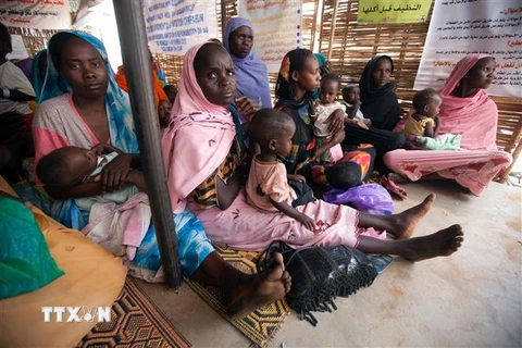 Trẻ em suy dinh dưỡng chờ được khám chữa bệnh tại một phòng khám ở trại tị nạn Zam Zam thuộc Bắc Darfur, Sudan. (Nguồn: AFP/TTXVN) 