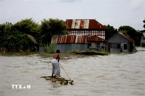 Ảnh minh họa. (Nguồn: THX/TTXVN) 