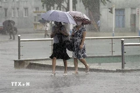 Người dân đeo khẩu trang phòng lây nhiễm COVID-19 khi di chuyển trên đường phố dưới trời mưa tại Bình Nhưỡng, Triều Tiên ngày 4/8/2020. (Nguồn: Kyodo/TTXVN) 