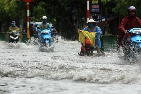 (Ảnh minh họa: Thế Duyệt/TTXVN) 