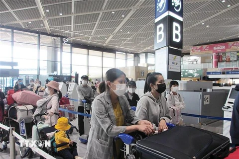 Công dân Việt Nam xếp hàng chờ làm thủ tục ở sân bay Narita hồi tháng Năm. (Ảnh: Đào Thanh Tùng/TTXVN) 