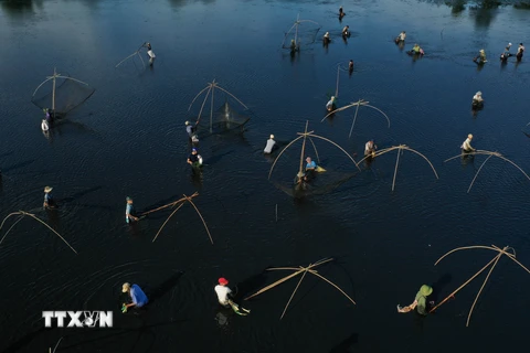 [Photo] Độc đáo lễ hội Phá trằm bắt cá ở tỉnh Quảng Trị