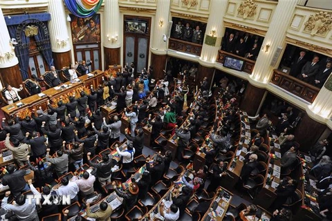 Toàn cảnh một phiên họp Quốc hội Bolivia ở La Paz. (Nguồn: AFP/TTXVN) 