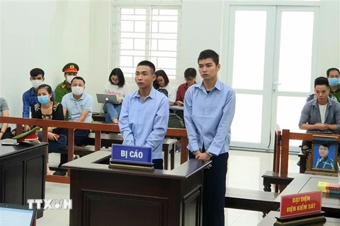 Bị cáo Đinh Văn Giáp (trái) và bị cáo Đinh Văn Trường tại phiên xét xử. (Ảnh: Doãn Tấn/TTXVN) 