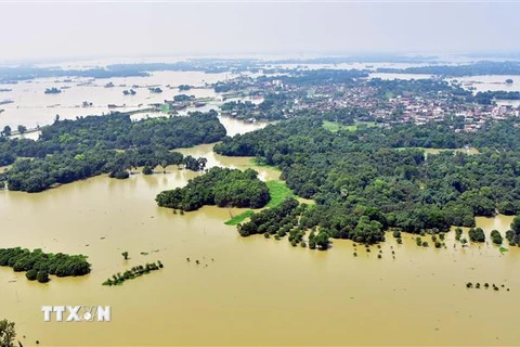 Cảnh ngập lụt sau mưa lớn tại Darbhanga, Bihar, Ấn Độ, ngày 5/8/2020. (Nguồn: THX/TTXVN) 