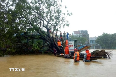 Lực lượng chức năng giải cứu người dân bị mắc kẹt ở khu vực ngập lụt sâu. (Nguồn: TTXVN phát) 