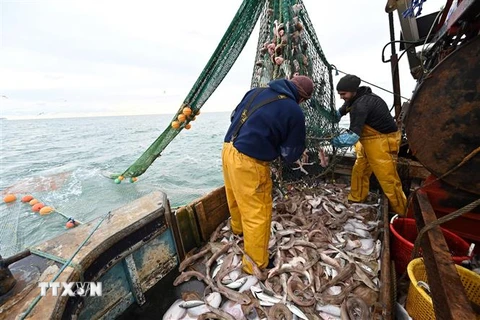 Ngư dân đánh bắt cá ở ngoài khơi bờ biển phía Đông Nam Anh ngày 12/10/2020. (Nguồn: AFP/TTXVN) 