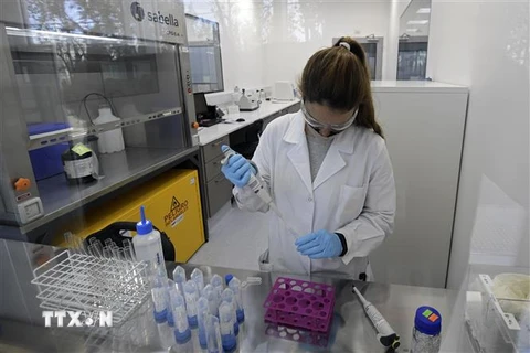 Nhà khoa học nghiên cứu vắcxin phòng COVID-19, do Tập đoàn dược AstraZeneca và trường Đại học Oxford của Anh phát triển, tại phòng thí nghiệm ở Garin, Buenos Aires, Argentina ngày 14/8/2020. (Nguồn: AFP/TTXVN) 
