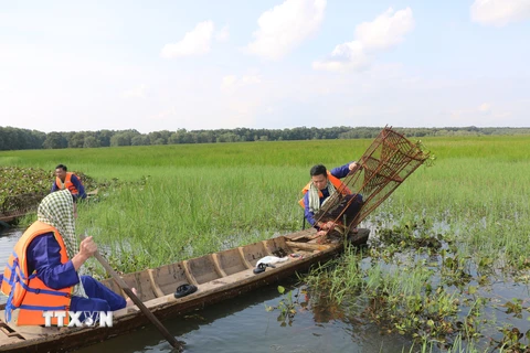 Trải nghiệm làm dân miền Tây 'chính hiệu' tại vườn quốc gia Tràm Chim