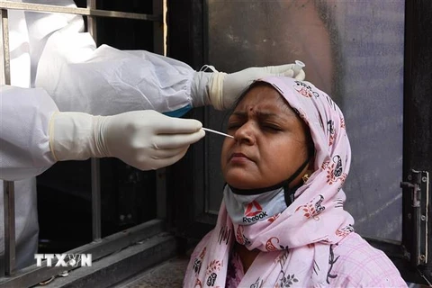 Nhân viên y tế lấy mẫu xét nghiệm COVID-19 tại New Delhi, Ấn Độ. (Nguồn: AFP/TTXVN) 