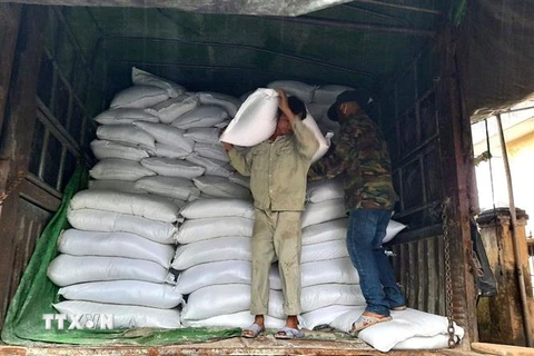 Cục Dự trữ Nhà nước khu vực Đà Nẵng đã xuất 100 tấn gạo dự trữ quốc gia cứu trợ khẩn cấp cho huyện Phước Sơn. (Ảnh: Quốc Dũng/TTXVN) 