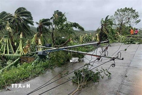 Cột điện và cây cối bị gió quật đổ khi bão Molave đổ bộ thị trấn Pola, tỉnh Oriental Mindoro, Philippines, ngày 26/10/2020. (Nguồn: AFP/TTXVN) 