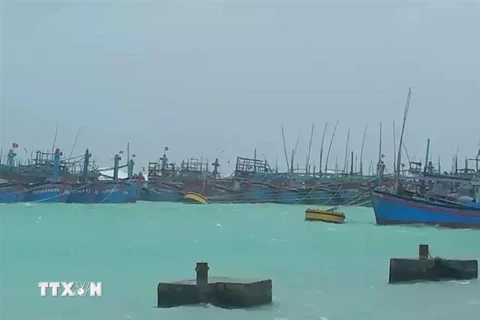Tàu thuyền tránh trú bão số 9 tại âu tàu của đảo Song Tử Tây, Trường Sa, Khánh Hòa. (Nguồn: TTXVN phát) 