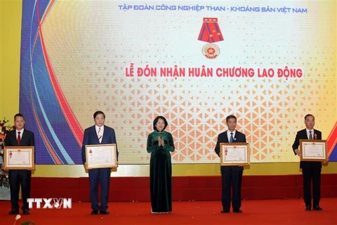 Phó Chủ tịch nước Đặng Thị Ngọc Thịnh trao Huân chương Lao động cho các cá nhân và tập thể. (Ảnh: Phan Tuấn Anh/TTXVN) 