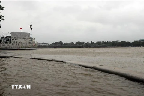 Mực nước lũ trên sông Hương gần đạt mức báo động 2. (Ảnh: Đỗ Trưởng/TTXVN) 