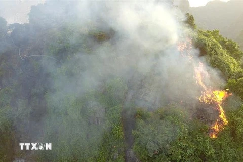 Hiện trường vụ cháy rừng trên núi đá tại thôn Dưỡng Thượng, xã Ninh Vân, huyện Hoa Lư. (Ảnh: Minh Đức/TTXVN) 