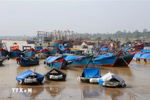 Tàu thuyền ngư dân huyện Vĩnh Linh neo đậu an toàn tại khu neo đậu tránh trú bão Cửa Tùng. (Ảnh: Hồ Cầu/TTXVN) 