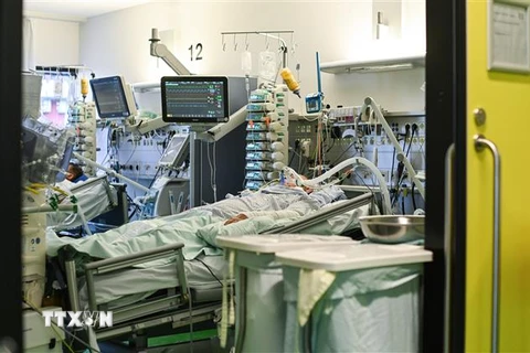 Bệnh nhân COVID-19 được điều trị tại bệnh viện ở Aachen, miền tây nước Đức, ngày 10/11/2020. (Nguồn: AFP/TTXVN) 