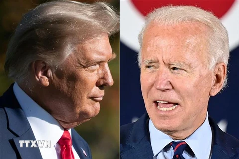 Tổng thống Mỹ Donald Trump (trái) và ông Joe Biden. (Nguồn: AFP/TTXVN) 
