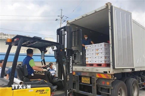 Ớt đóng thùng được vận chuyển lên xe tải để xuất khẩu sang Trung Quốc, tại Namwon, tỉnh Nam Jeolla, Hàn Quốc ngày 25/8/2020. (Nguồn: Yonhap/TTXVN) 