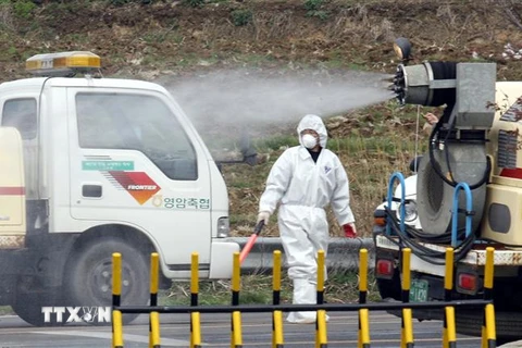 Nhân viên kiểm dịch phun thuốc khử trùng gần một trang trại gà ở Yeongam, Hàn Quốc, nơi phát hiện ổ dịch cúm gia cầm. (Nguồn: AFP/TTXVN) 