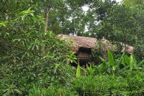 Một ngôi nhà sàn trong bản làng Thái Hải. (Nguồn: Khu Bảo tồn làng nhà sàn dân tộc sinh thái Thái Hải) 