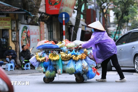 Hình ảnh Hà Nội chìm trong đợt rét đậm đầu tiên của năm